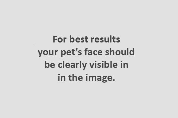 Your pet preview